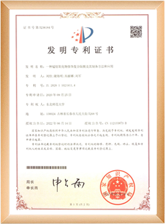 2025新澳门免费原料宝典概述